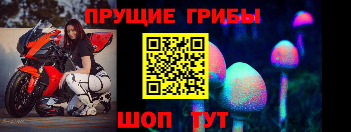 Галлюциногенные грибы мухоморы Гулькевичи